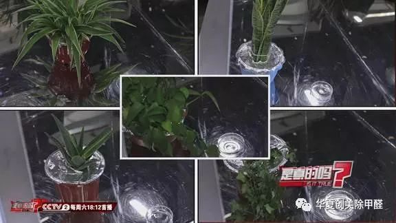 裝修后除甲醛_甲醛的來源怎么除_南寧除新房裝修除污染